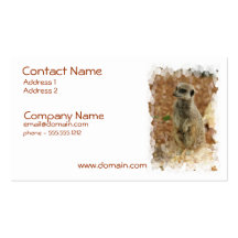 Baby Meerkat Business Card