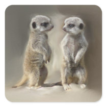 baby meerkats sticker