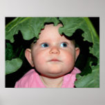 Baby mit Hut posters