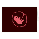 Baby on Board