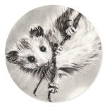 Baby Opossum Stickers