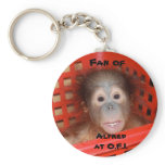 Baby Orangutan Alfred keychains