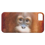 Baby Orangutan Endangered Red Ape Device Case iPhone 5 Covers