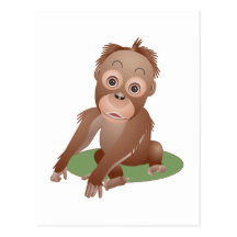 Baby Orangutan Postcards