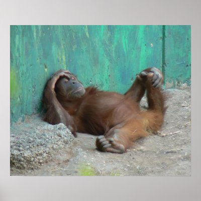 Baby orangutan resting by Yarijik