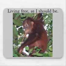 Baby orangutan:Tanjung Puting, Indonesia Mouse Pad