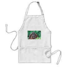 Baby Orangutan with Mother  Apron