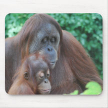 Baby Orangutan with Mother  Mouse Pad
