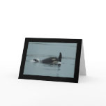Baby Orca Greeting Card