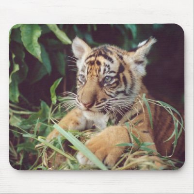 Baby Oselote Mousepad by Fivestar12