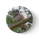 Baby Owl Staring Button