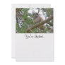 Baby Owl Staring Custom Invite
