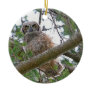 Baby Owl Staring Ornaments