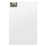 Baby Owl Staring Stationery Design