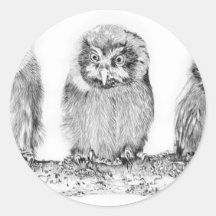 Baby_Owls Stickers