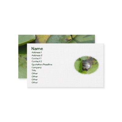 Baby Painted Turtle on Lilypad Business Card by CarolsCamera