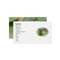 Baby Painted Turtle on Lilypad Business Card