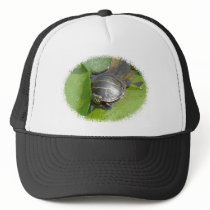 Baby Painted Turtle on Lilypad Items Hat