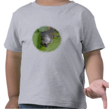 Baby Painted Turtle on Lilypad Items T-shirt