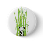 Baby Panda in Bamboo Forest