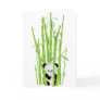 Baby Panda in Bamboo Forest