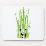 Baby Panda in Bamboo Forest
