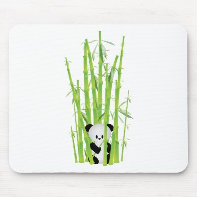 Baby Panda in Bamboo Forest by CreativeAesthetic