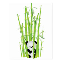 Baby Panda in Bamboo Forest Post Cards