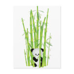 Baby Panda in Bamboo Forest