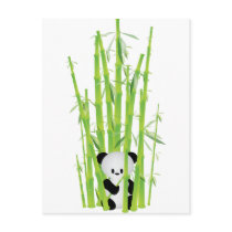 Baby Panda in Bamboo Forest