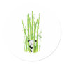 Baby Panda in Bamboo Forest