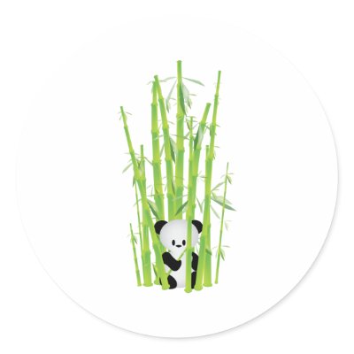 Baby Panda in Bamboo Forest by CreativeAesthetic