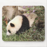 Baby Panda Mouse Pads