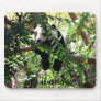 Baby Panda Mouse Pad