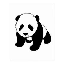 Baby Panda Post Card