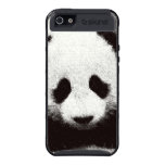 Baby Panda Skinit Cargo iPhone 5 Case