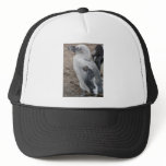 baby penguin mesh hats