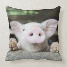 Baby Pig in Pen, Piglet Throw Pillow