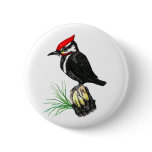 Baby Pileated Woodpecker Button