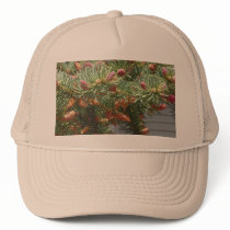 Baby Pine Cones Ball Cap Trucker Hats