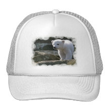 Baby Polar Bear Baseball Hat