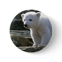 Baby Polar Bear Button