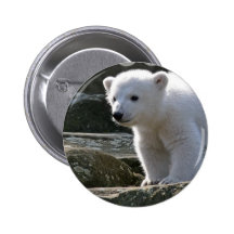 Baby Polar Bear Button