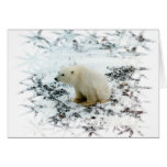 baby polar bear card