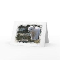 Baby Polar Bear Greeting Card