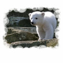 Baby Polar Bear Polo Shirt