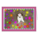 Baby Pomeranian Card