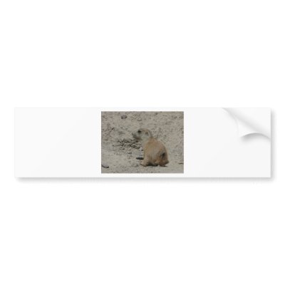 baby prairie dog bumper sticker by pinkypetals