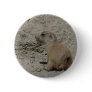 baby prairie dog pinback button