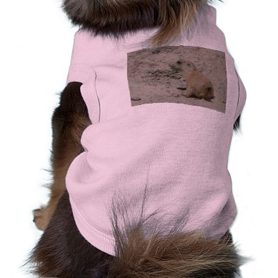 baby prairie dog dog clothing by pinkypetals